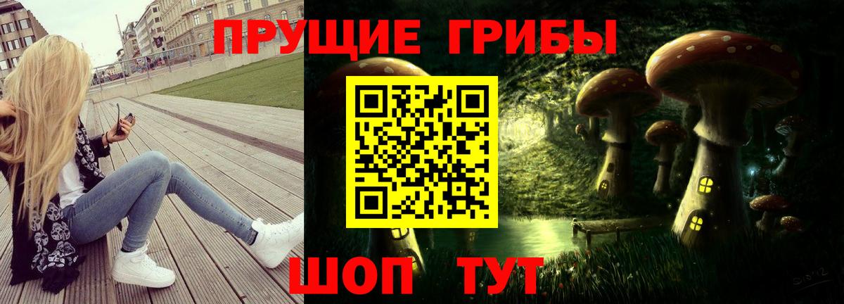 Псилоцибиновые грибы мицелий Красноуфимск